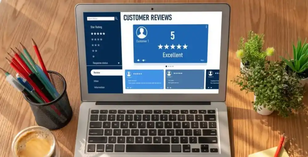 Plugins-and-Themes-Reviews